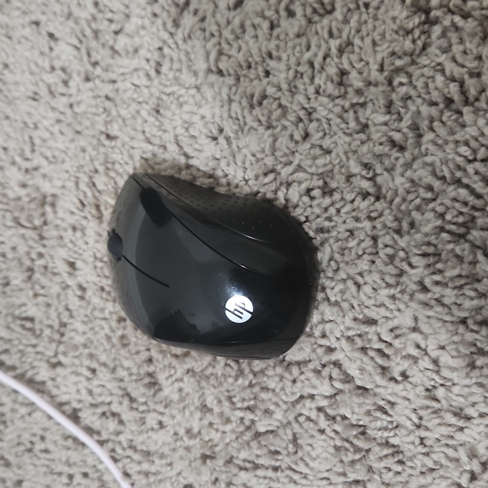 Mouse